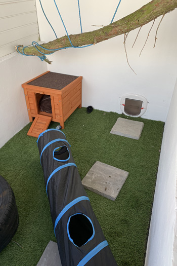 Cattery