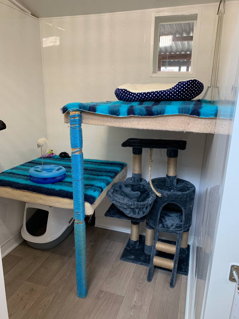 Cattery