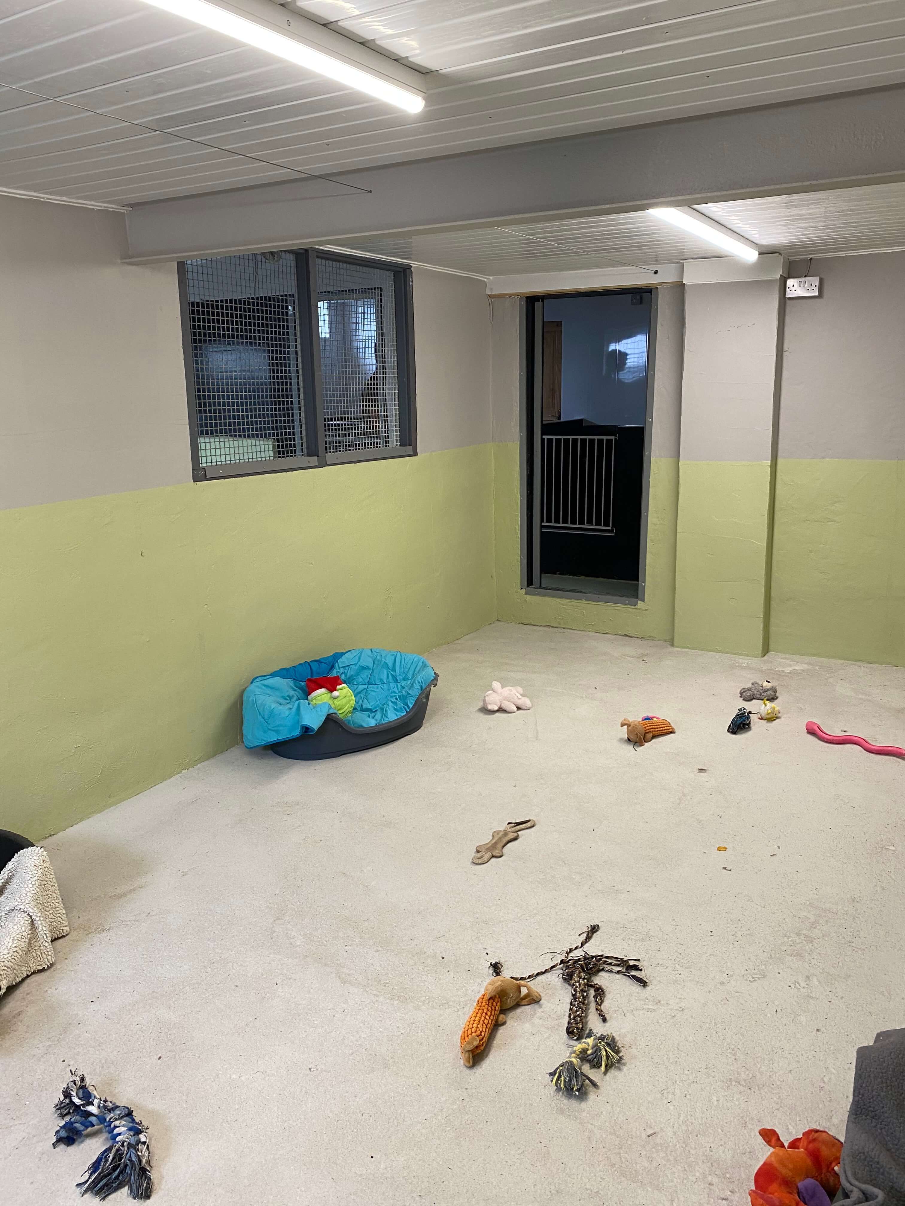 Kennels