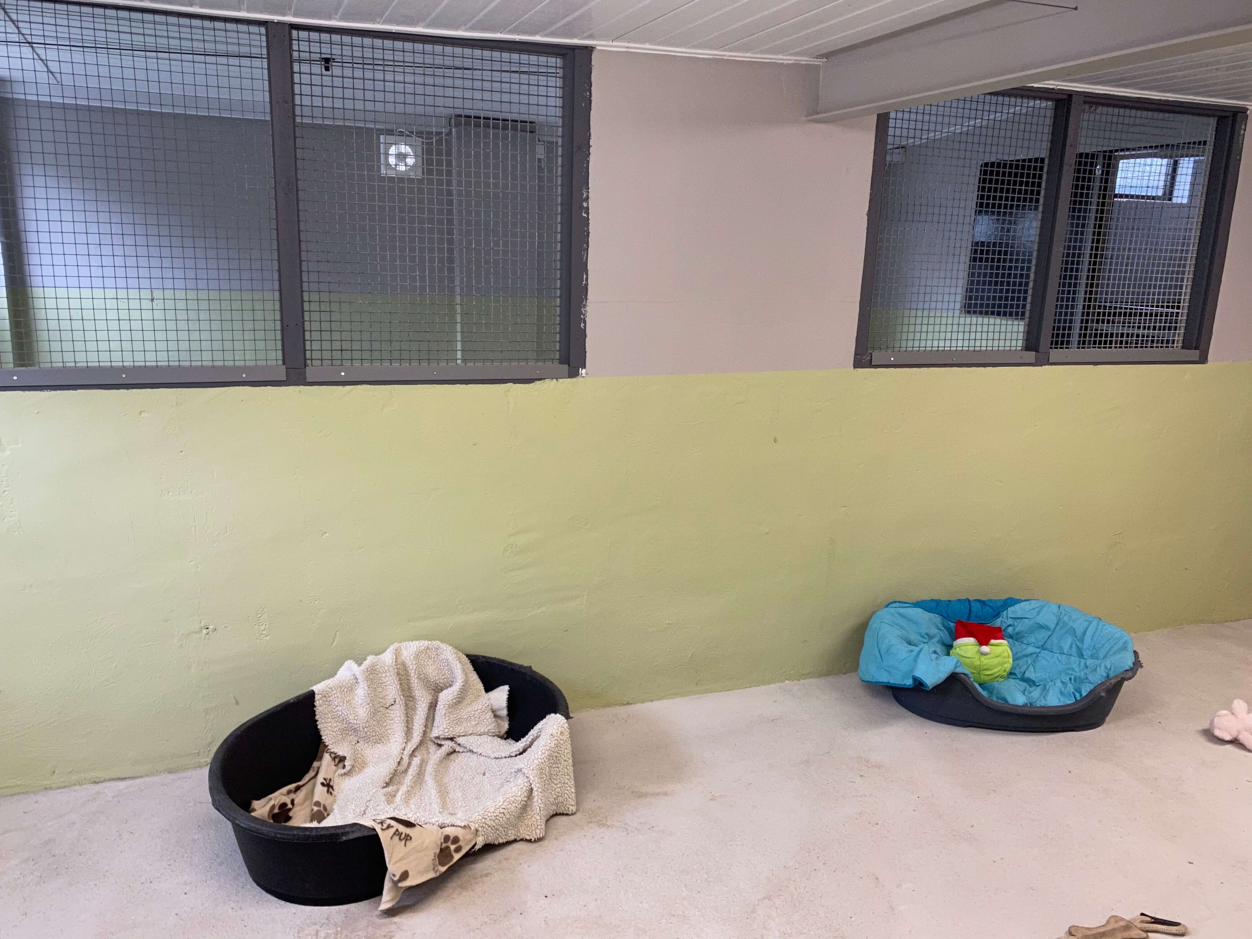 Kennels