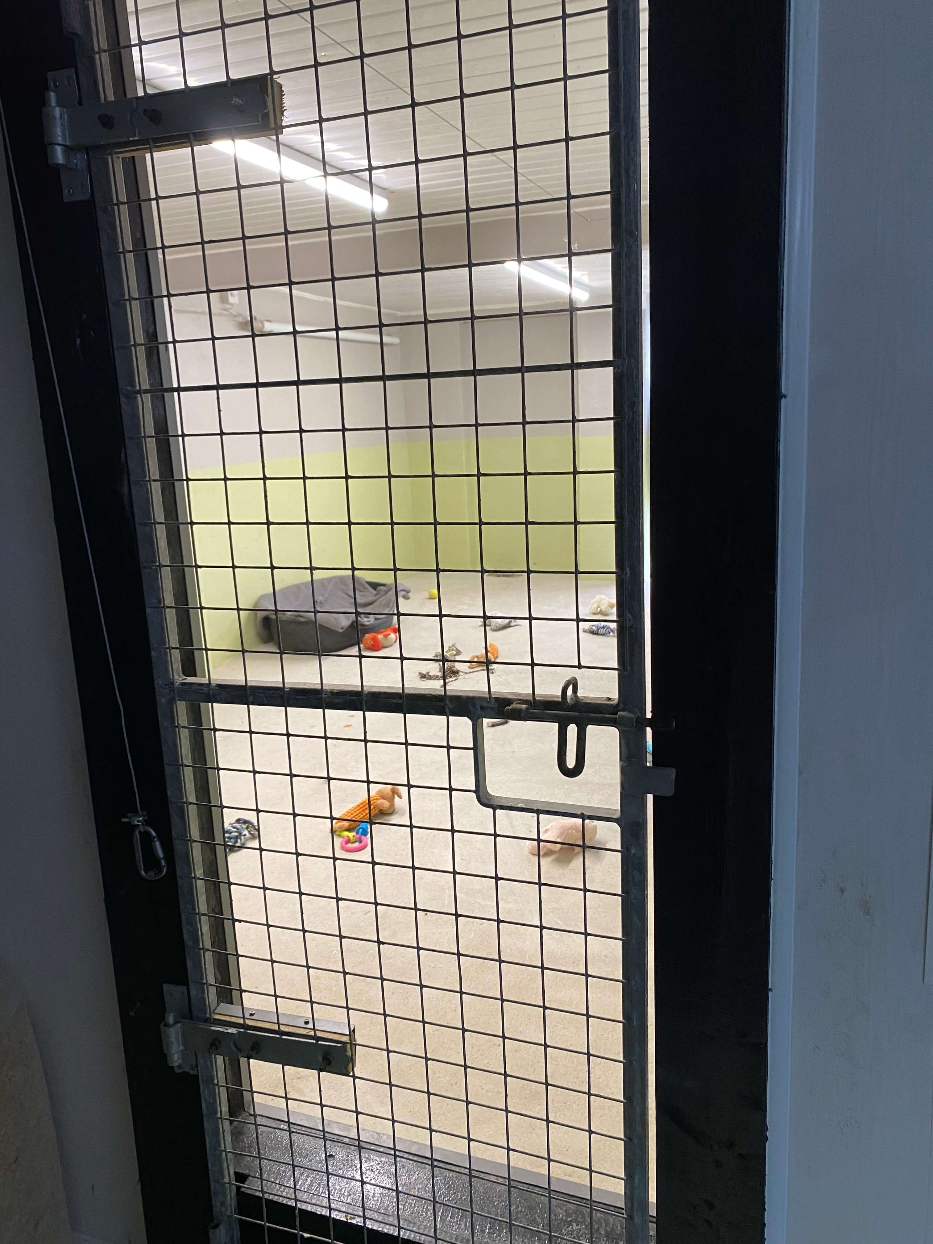 Kennels