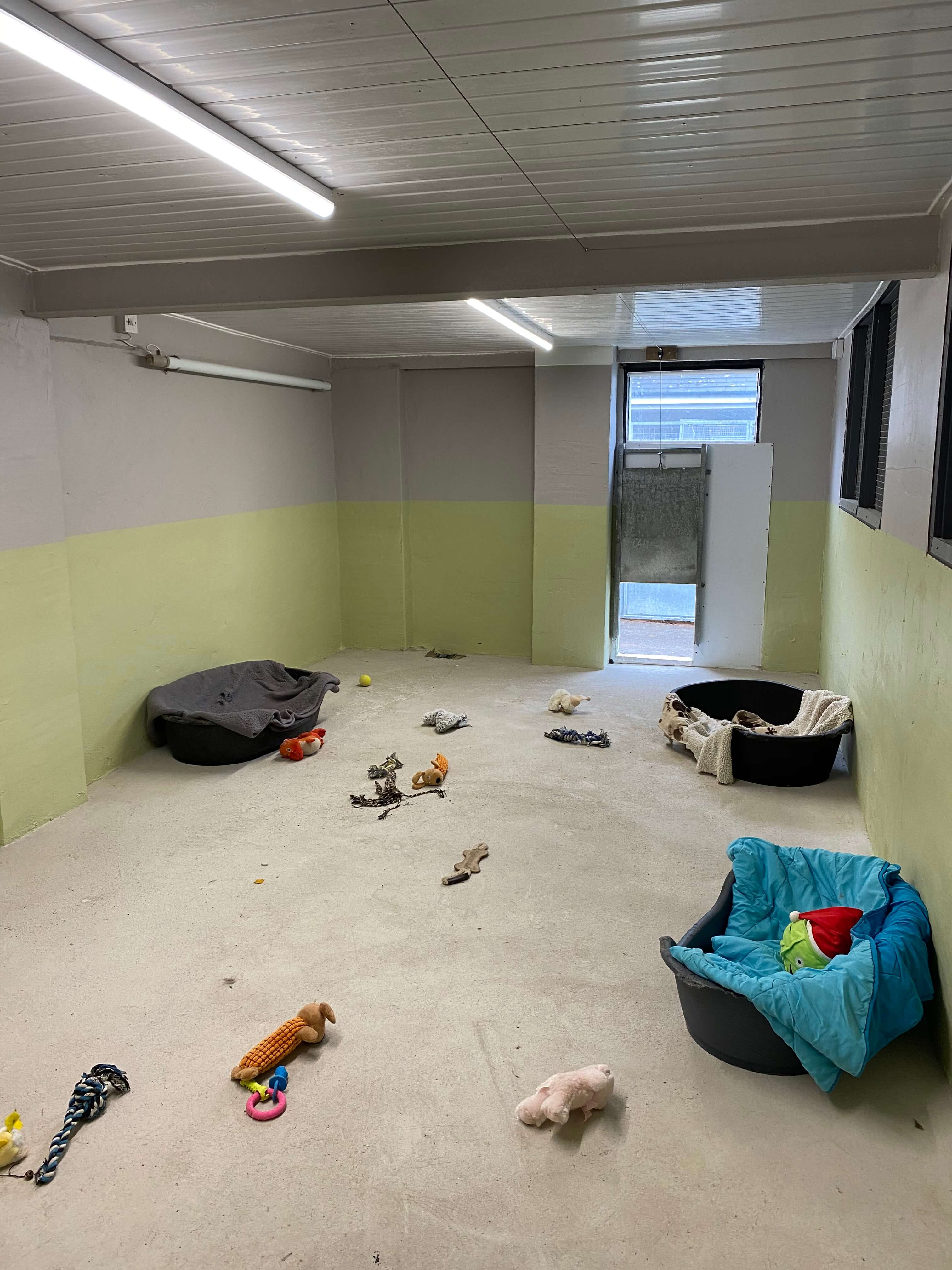 Kennels