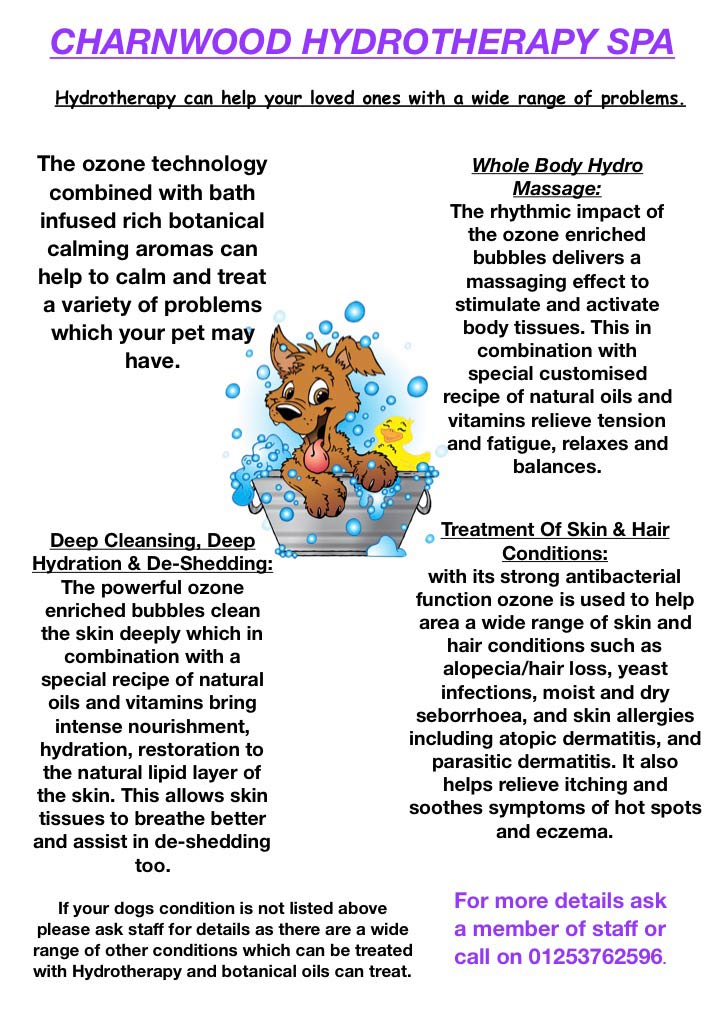 Hydrotherapy Spa